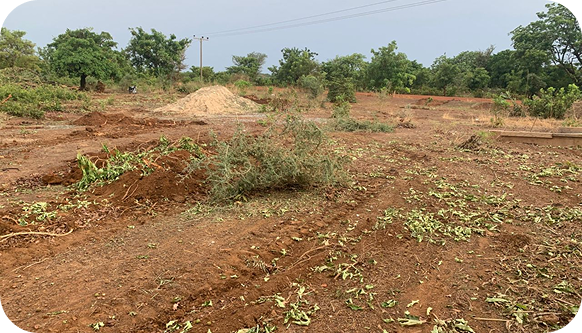 Open farmland with reddish soil, cleared brush, and a tree line under an overcast sky in Northern Ghana